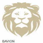 Bavion logo
